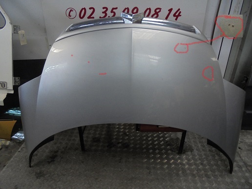 Capot 
CITROEN C8
An 06.2002 - 12.2004

Quelques impacts peinture (Graviers)
Sans calandre

Frais de Port sur devis