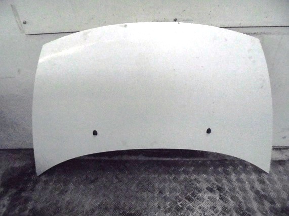 Capot 
CITROEN C3
An 02.2002 - 10.2005 

Quelques éclats de peinture

Frais de Port sur devis