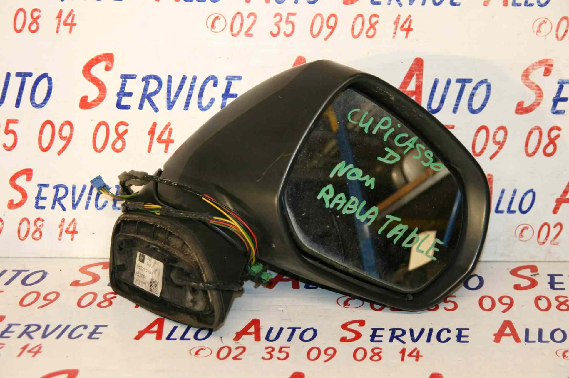 Retro Electrique Droit
CITROEN C4 Picasso 1
11.2009
