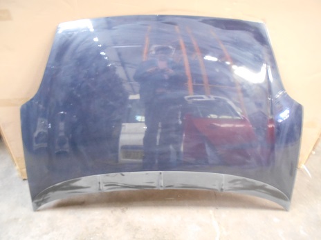 Capot 
FIAT Punto 3
An 09.2005 12.2012

Frais de Port sur devis