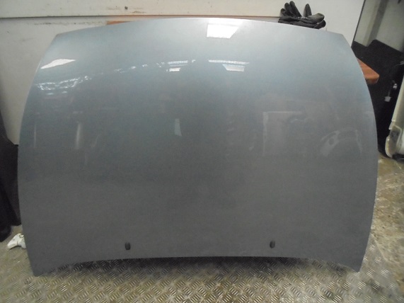 Capot 
FORD KA (1)
An 10.1996 - 10.2008

Frais de Port sur devis