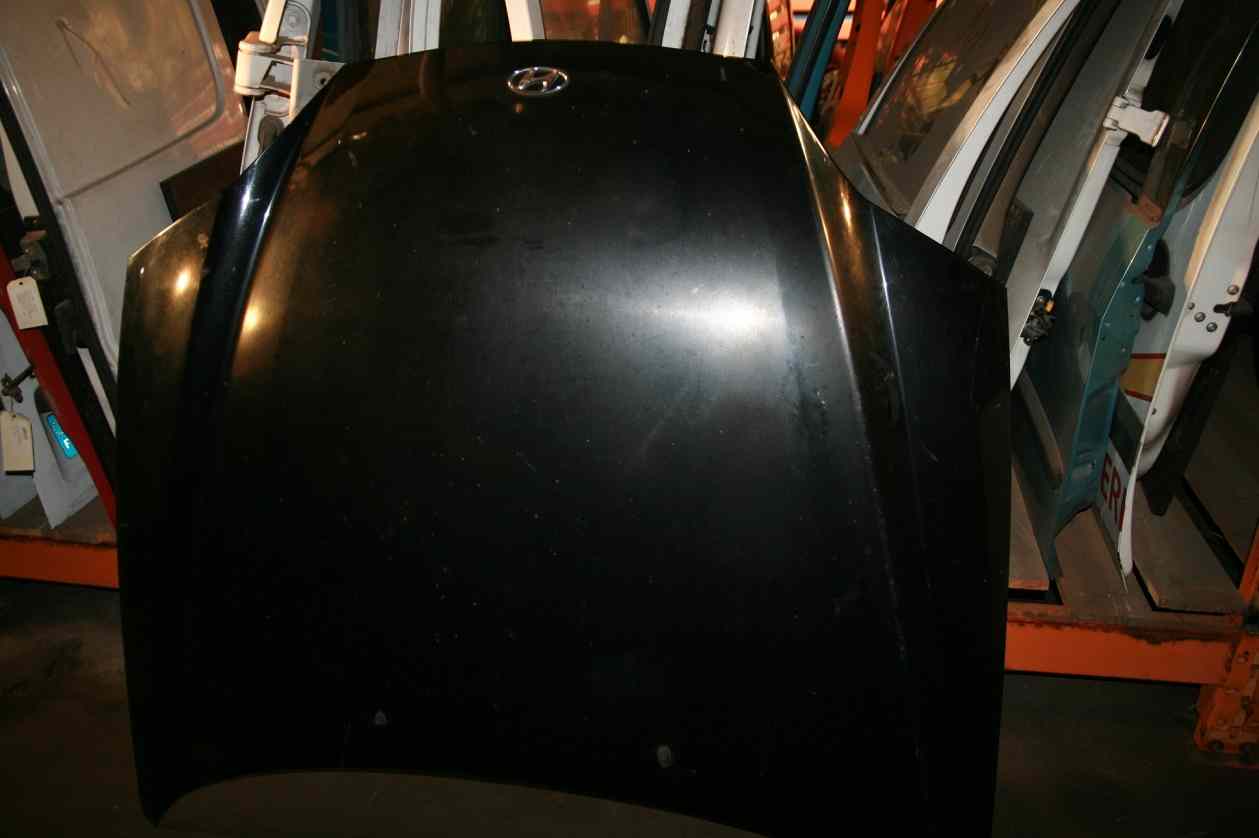 Capot 
HYUNDAI Coupe 2
11.2002

Frais de Port sur devis