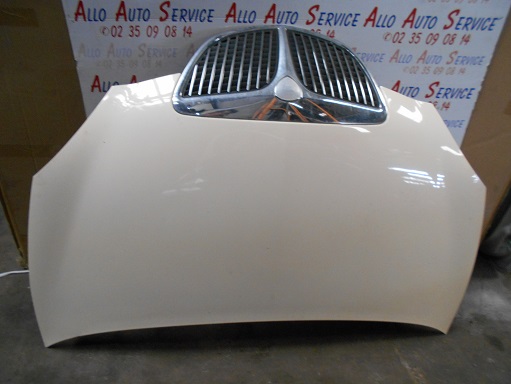 Capot 
LANCIA Ypsilon 4
An 10.2003 - 10.2006

Frais de Port sur devis