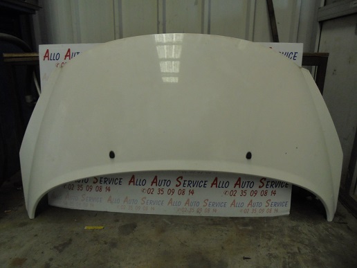 Capot 
PEUGEOT 207
An 04.2006 - 06.2013

Frais de Port sur devis