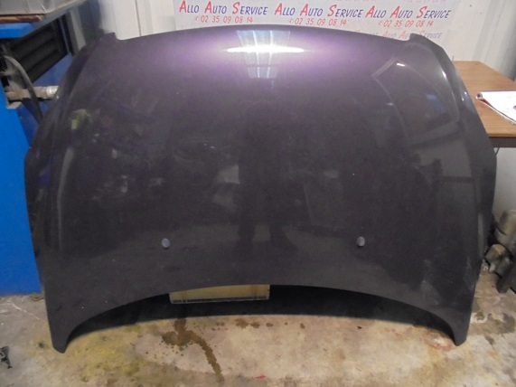 Capot 
PEUGEOT 307 
An 04.2001 - 06.2005

Frais de Port sur devis