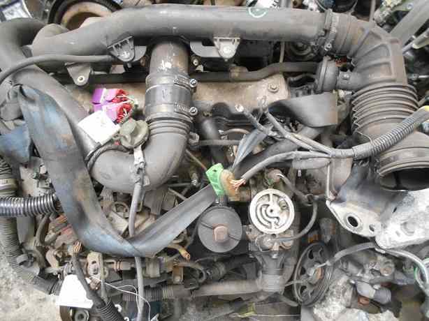 Moteur 
PEUGEOT 406(1) 1.9 TD 75CV
Année 03.1998

Type moteur : DHW

Vendu sans alternateur, démarreur, compresseur de clim

Garanti(e) 3 mois

Frais de Port sur devis