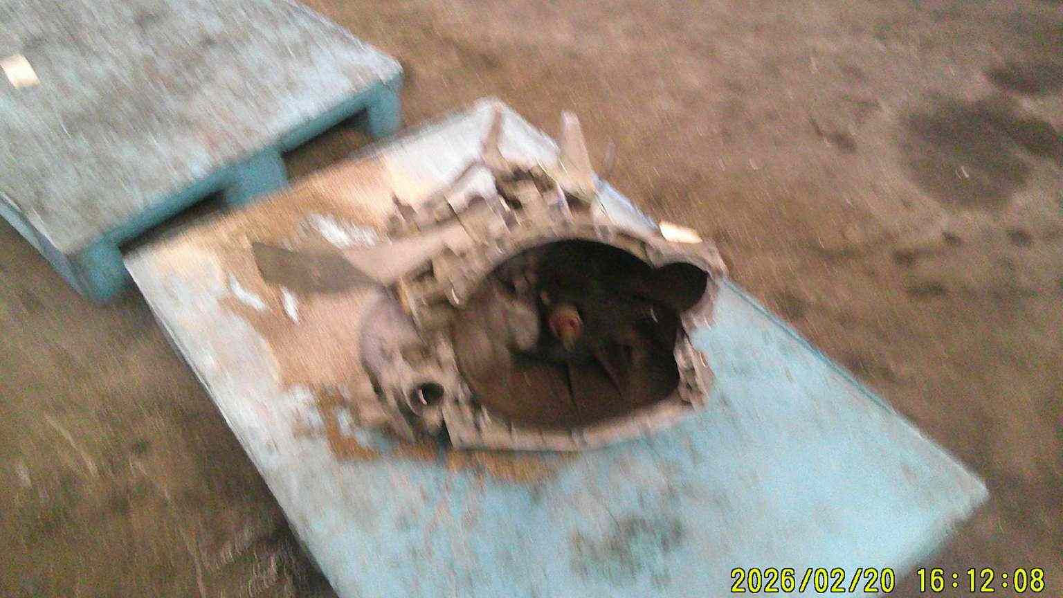 Boite de vitesses 
PEUGEOT 308

Type boite : manuelle 
20dm69, 20dm75, 20dm6j,20dm7e

Garanti(e) 3 mois

Frais de Port sur devis