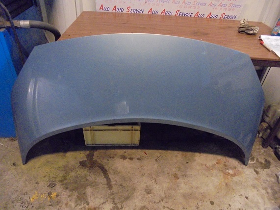 Capot 
RENAULT Scenic 2 phase 1
An 06.2003 - 09.2006

Frais de Port sur devis