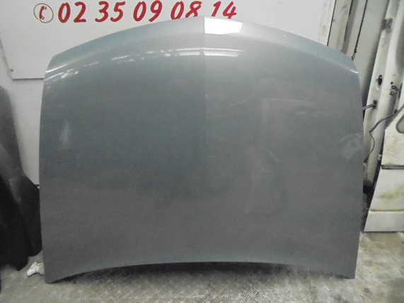 Capot 
RENAULT Velsatis (1)
An 01.2002 - 04.2005

Quelques rayures
Frais de Port sur devis