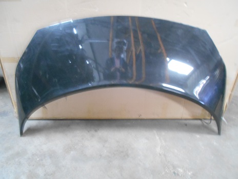 Capot 
RENAULT Scenic 2 phase 2
An 09.2006 - 04.2009

Frais de Port sur devis