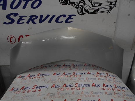 Capot 
RENAULT Modus Phase 1
An : 09.2004 / 12.2007

Frais de Port sur devis