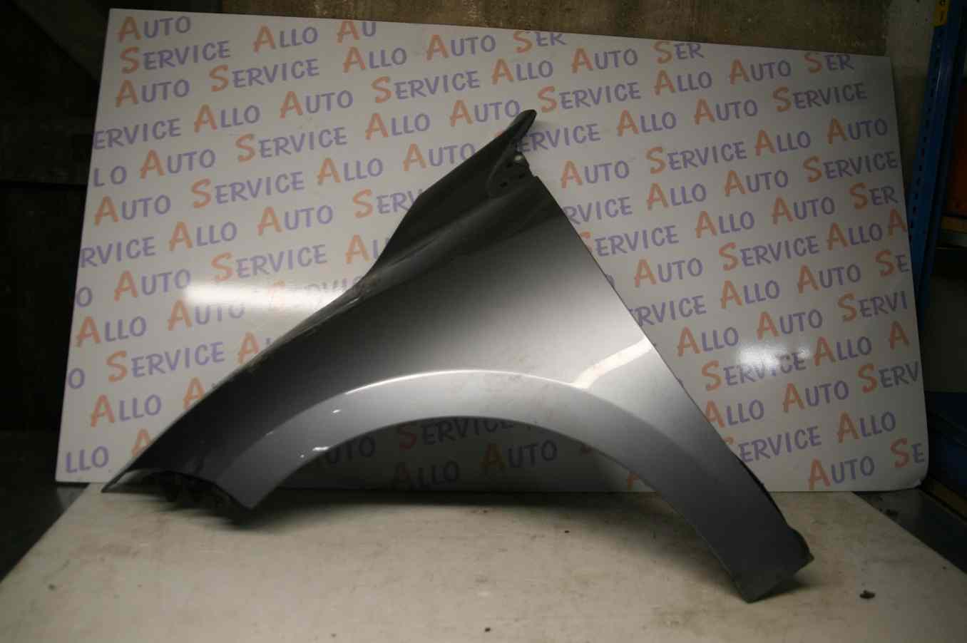 Aile AV Gauche RENAULT Megane 3 phase 1

Frais de Port sur devis