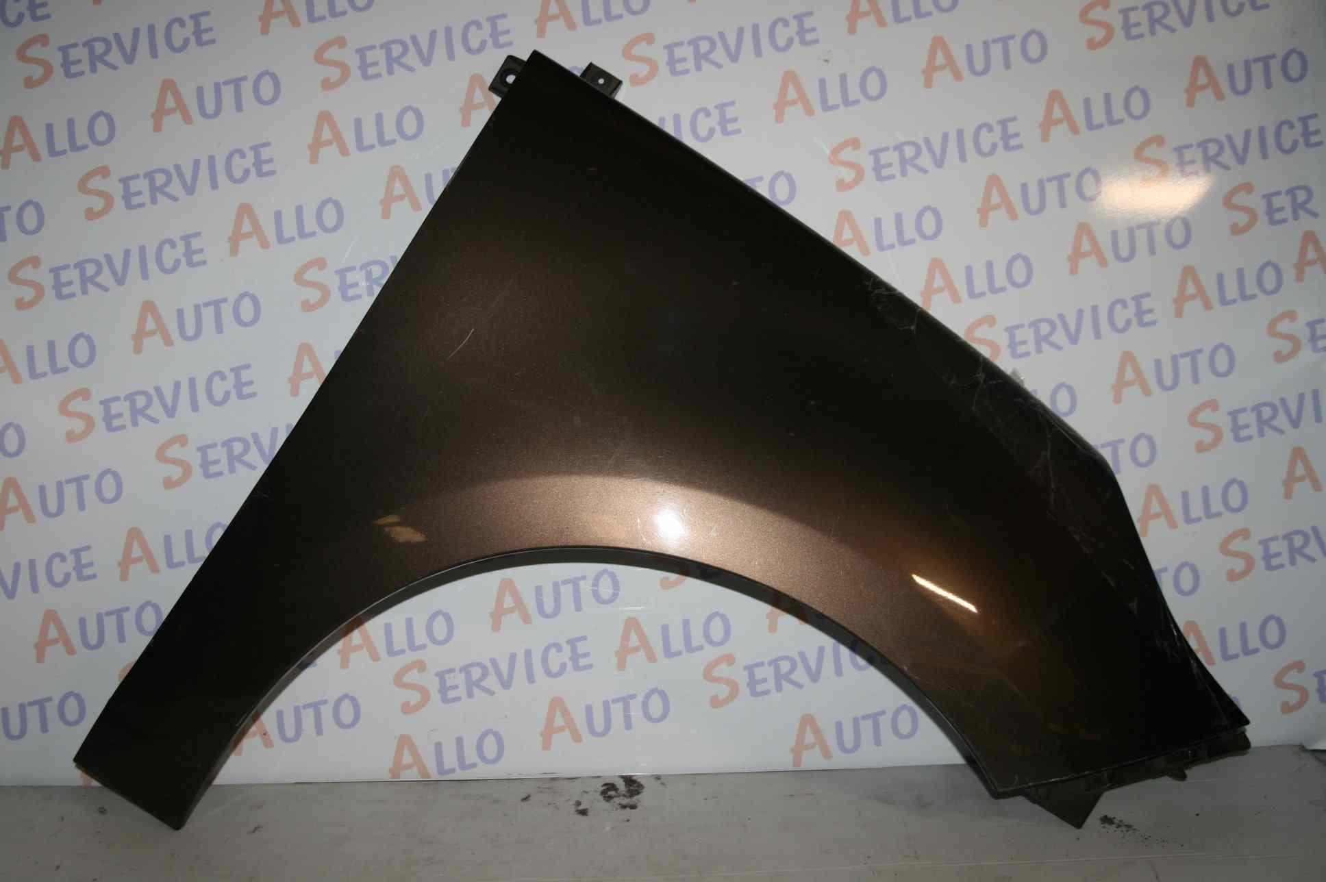 Aile AV Droit
RENAULT GRAND SCENIC III PHASE 1 5P LONG 
2009-04->2011-11

Frais de Port sur devis