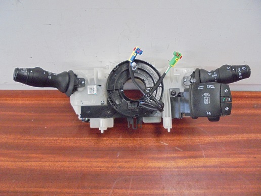 Commodo 
RENAULT Scenic 3 1.9 DCI 130CV
An 04.2009 - 11.2011 

Ref : 2556700R19
25552 0014R

